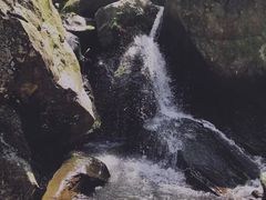 -藏龙百瀑风景区