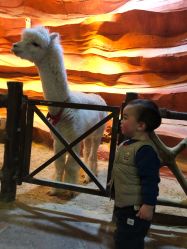 -酷嗒动物文化乐园(cutezoo西溪乐天城店)