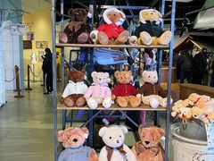 -济州岛泰迪熊博物馆