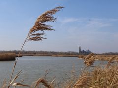 -盐城丹顶鹤湿地生态旅游区