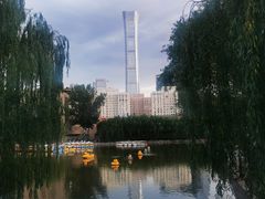 -团结湖公园