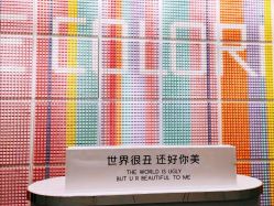 -THE COLORIST调色师