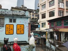 -猫咪博物馆(顶澳仔猫街店)