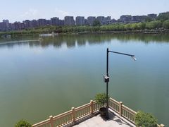 -小白鲨工夫潮膳(曲江店)