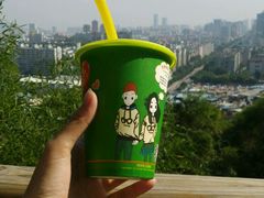 -金鸡山公园