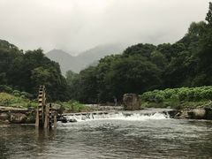 -广州市石门国家森林公园