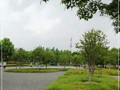-上海山野camping·户外天幕烧烤·团建拓展营地