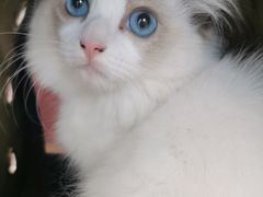 -美联众合24小时·皮肤科·外科·全科诊疗中心(华苑分院)