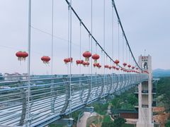 -客天下恐龙水晶玻璃桥