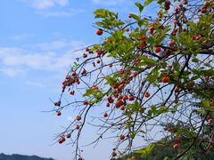 -东钱湖旅游度假区