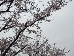 -龙美术馆(西岸馆)
