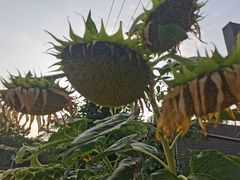 -终南山南五台景区