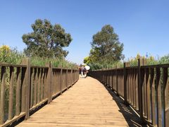 -五甲塘生态湿地公园