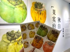 -辰熙ACX星海艺术中心