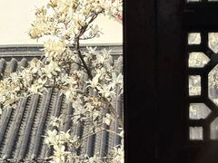 -堤角公园