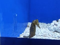 -乌鲁木齐海洋馆