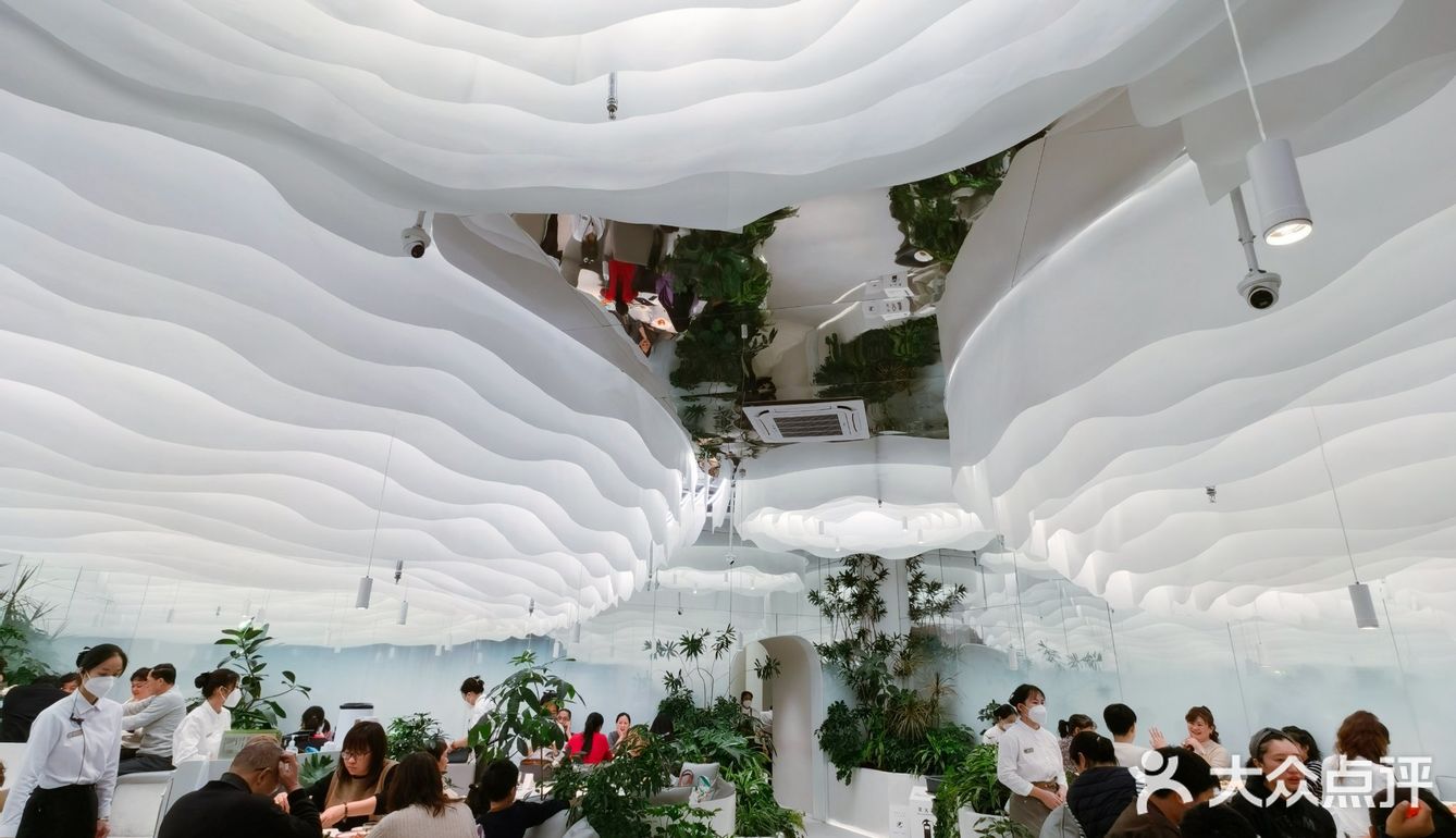 大树 | 为了它的美貌来吃它🌳好拍网红店