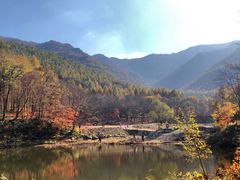 -龙道沟景区