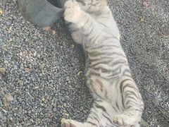 -秦皇岛野生动物园