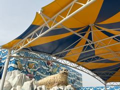 -华夏文旅海洋公园