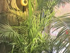 -陈熹公民族美食文化餐厅(中华广场店)