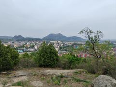 -白水寺森林公园