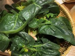 -巴奴毛肚火锅(龙湖锦艺城店)