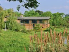 -白鹭湾湿地公园