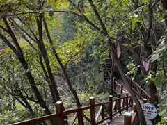 -大岭沟猕猴桃谷风景区