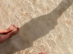 -杭州浪浪浪水公园