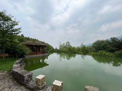 -塔川景区