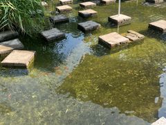 -白洋淀景区