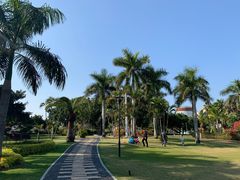 -白鹭洲公园