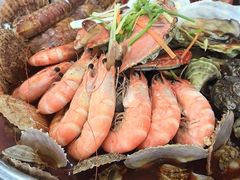 -沿海渔家院蒸汽海鲜·东北菜(东戴河店)