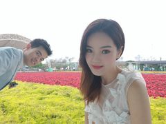 -百万葵园