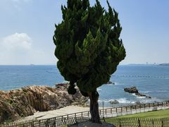 -小麦岛公园