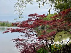 -观山湖公园