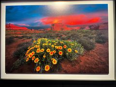 -罗红摄影艺术馆