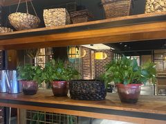 -肥鱼屯活鱼锅(惠工街店)