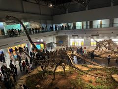 -自贡恐龙博物馆