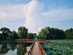 -渌洋湖湿地公园