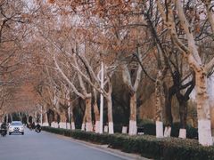 -云龙湖旅游景区