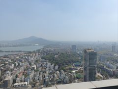 -紫峰大厦