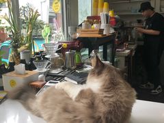 -灯塔咖啡馆BOOK·Coffee Shop