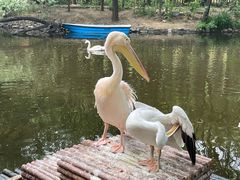 -济南野生动物世界