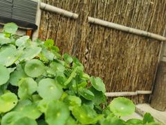 -心无尘茶餐馆(径山村店)