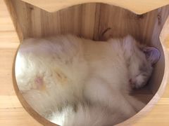 -小时光咖啡馆(开森度假森林店)