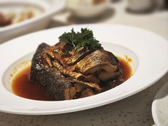 -船歌·鱼水饺青岛菜(金狮广场店)