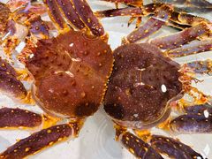 -万龙洲海鲜(南新仓店)