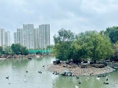 -青藏高原野生动物园